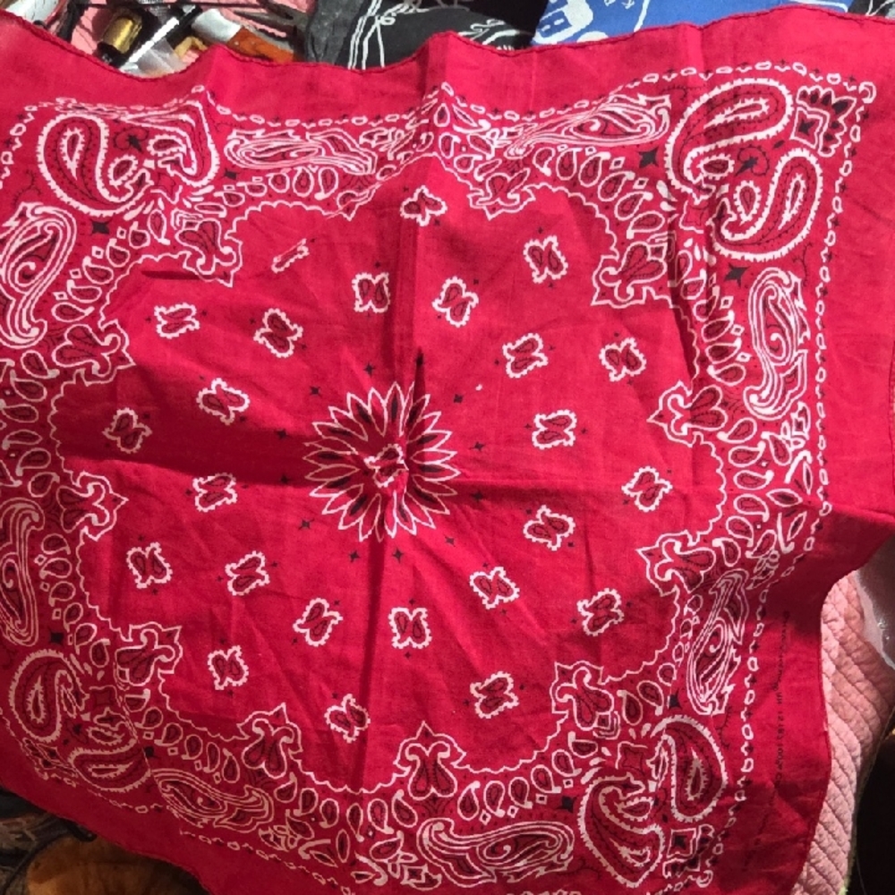 Red Paisley Bandana